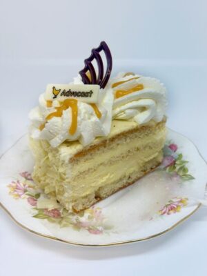 2102453904.jpg Advocaat punt