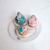 Cupcake Gender Reveal ONBEKEND